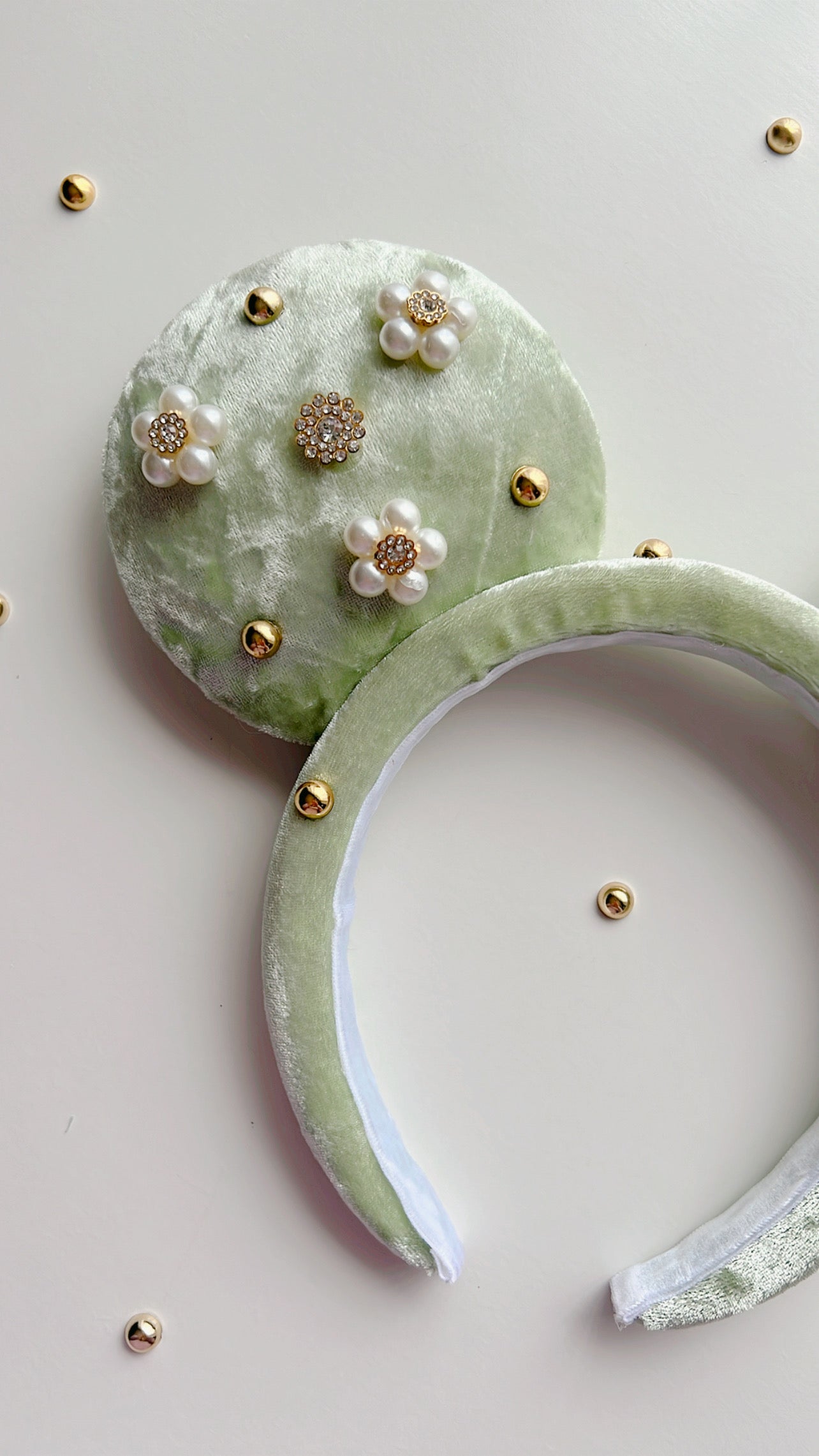 Princess and the frog Inspired Ears