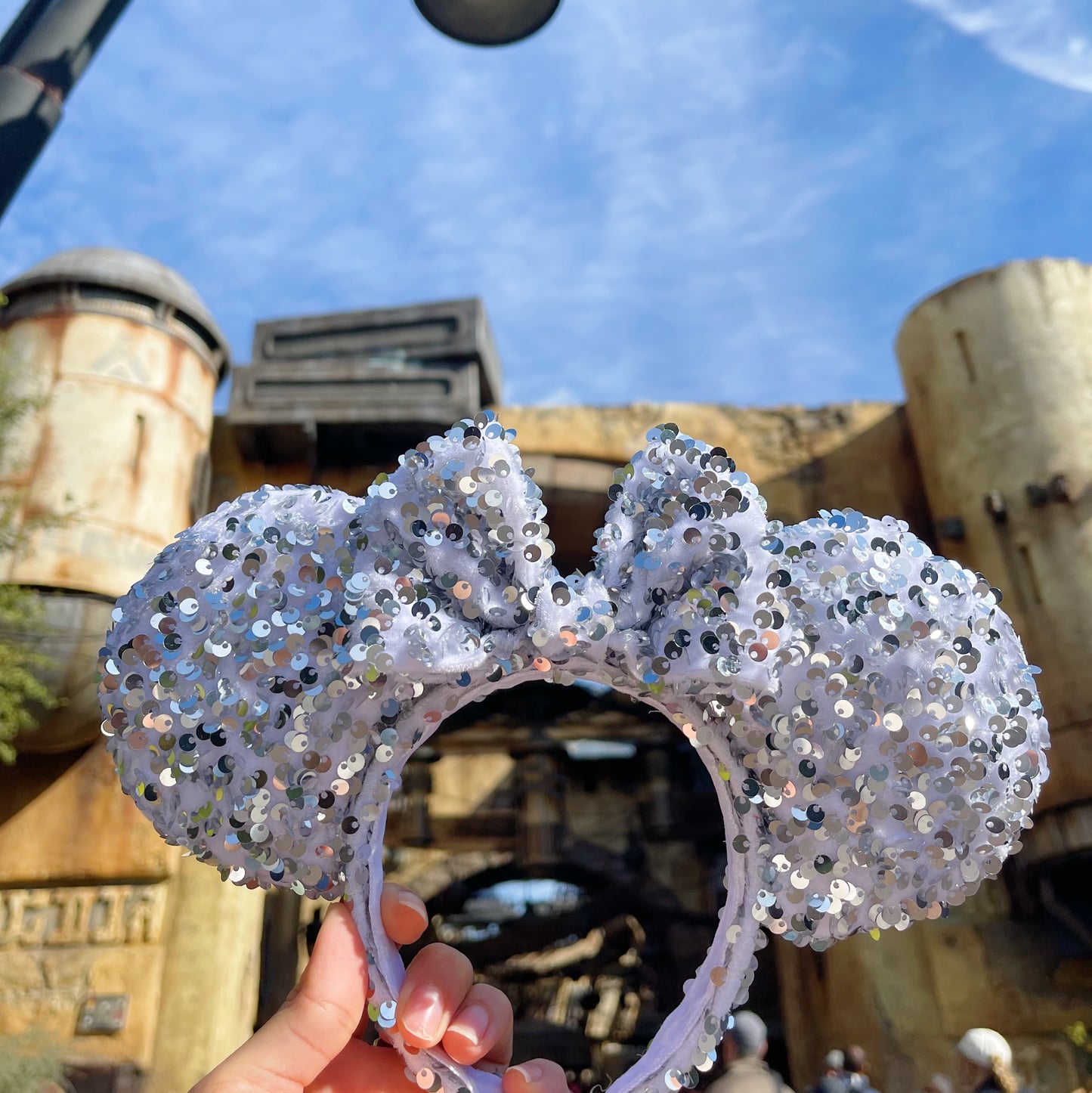 Silver Storm Ears