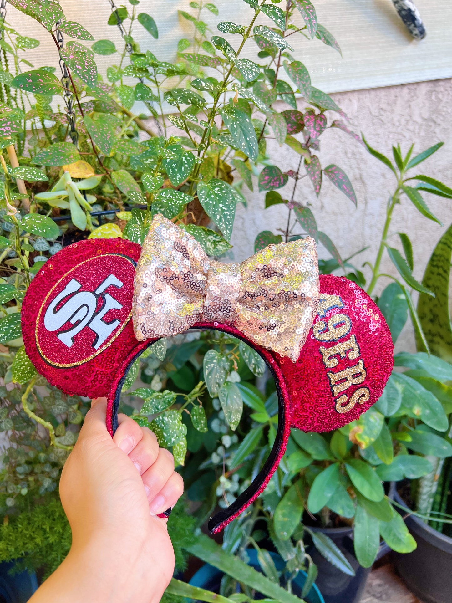 San Francisco 49ers Ears