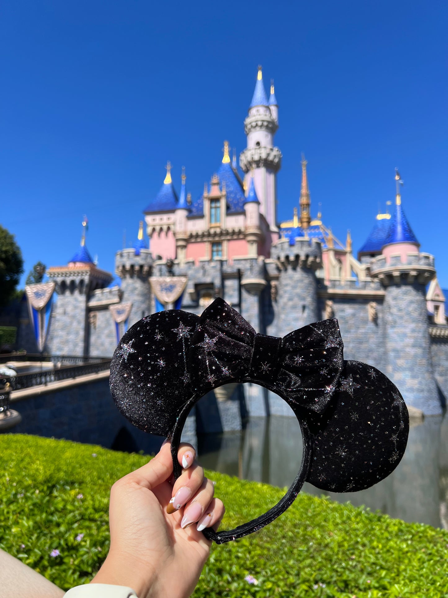 Galactic Velvet Ears