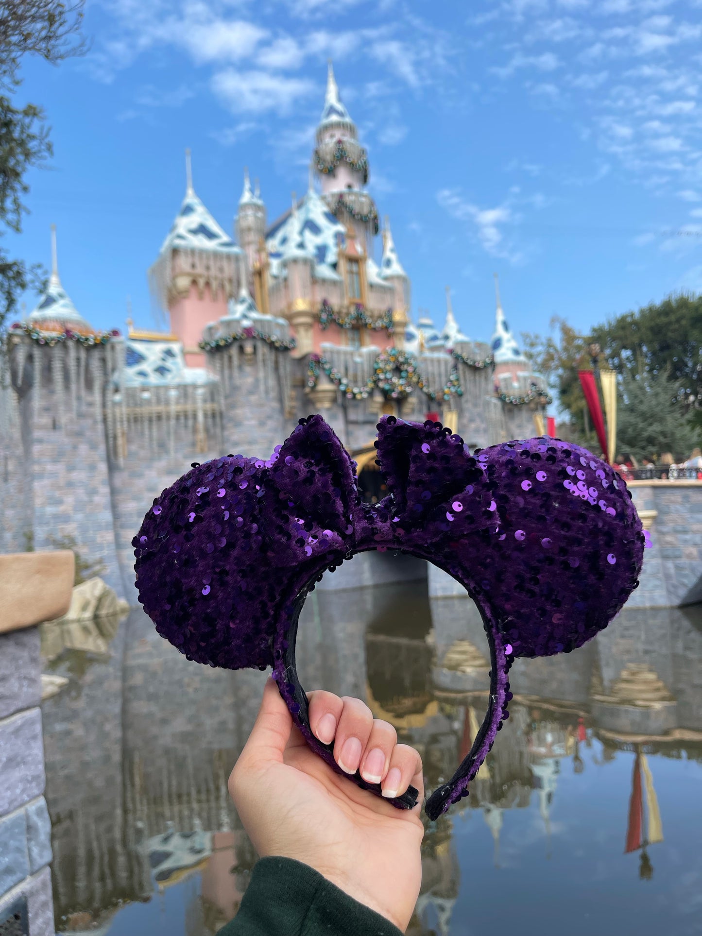 Purple Disco Ears