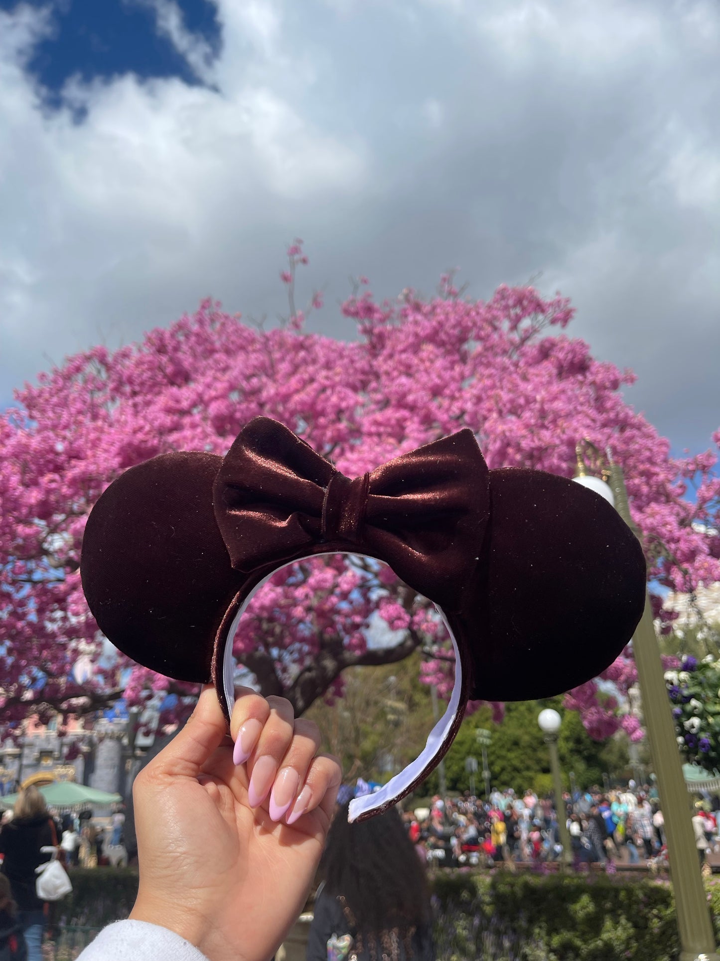 Velvet Chocolate Ears